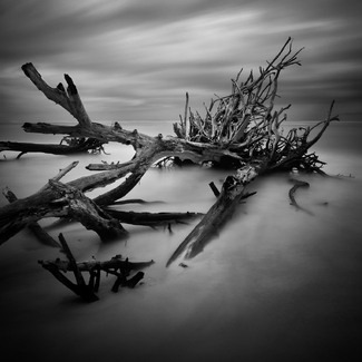 Legacy (from the series Against the Sea) Legacy (from the series Against the Sea)