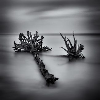 Kindred, from the series 'Against the Sea' Kindred, from the series 'Against the Sea'