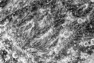 Intersecting Trajectories 2 Intersecting Trajectories 2