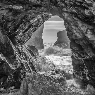 In Through the Out Door In Through the Out Door