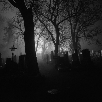 Hanspaulka Cemetery, Prague. CZ Hanspaulka Cemetery, Prague. CZ