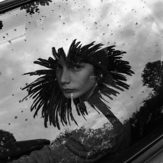 Max, Hancock Park. LA Max, Hancock Park. LA