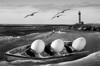 Boat Riding Eggs Boat Riding Eggs