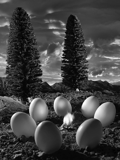 Eggs Around the Fire Eggs Around the Fire