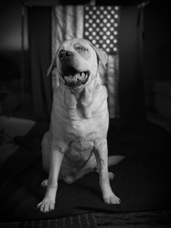 winchester proud winchester proud