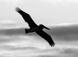 evening at the beach evening at the beach