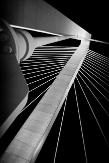 Strength in Tension Strength in Tension