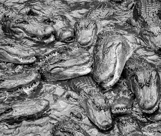 Welcome to my Nightmare Welcome to my Nightmare