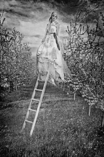 Serernity in the Face of a Storm Serernity in the Face of a Storm