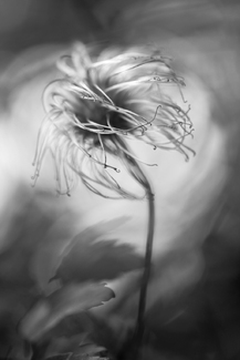 Stormy Days Stormy Days