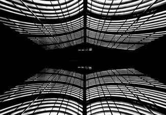 Butterfly-Like Reflection Butterfly-Like Reflection