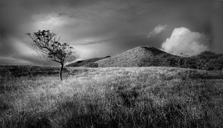 Mounga Evening Mounga Evening