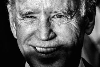 The Vice President The Vice President