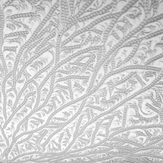 frost patterns frost patterns