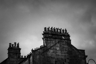 Hitchcock vibe Hitchcock vibe