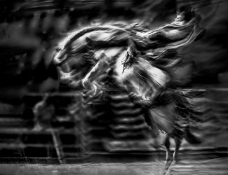 Go, Go, Go Go, Go, Go