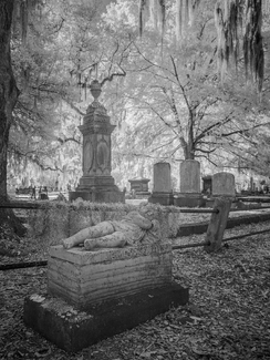 Magnolia Cemetery James Magnolia Cemetery James