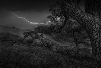 The Lightning Strike The Lightning Strike