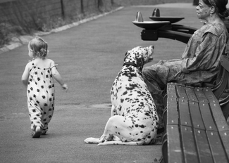 Are we alike? Are we alike?