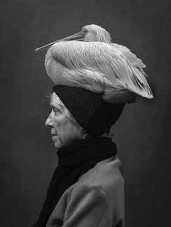 Birds of a Feather Birds of a Feather