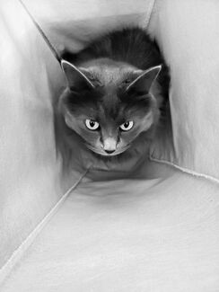 In the Depths In the Depths