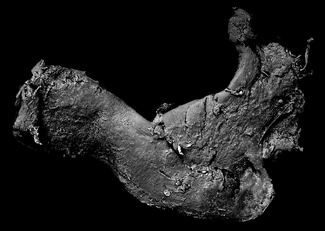 Microplastics   Microplastics