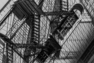 Escape in the Shadows Escape in the Shadows