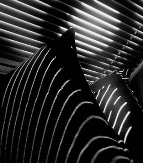 What's the point? What's the point?