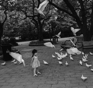 A Continual Flight from Wonder A Continual Flight from Wonder