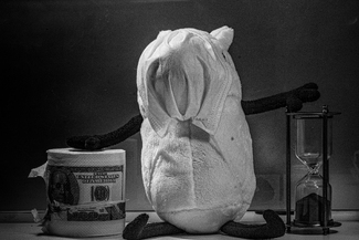 Everything is Fine Everything is Fine