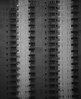 Concrete jungle Concrete jungle