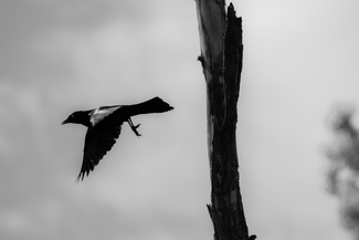 My turn to leave My turn to leave