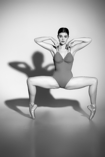 The Ballerina The Ballerina