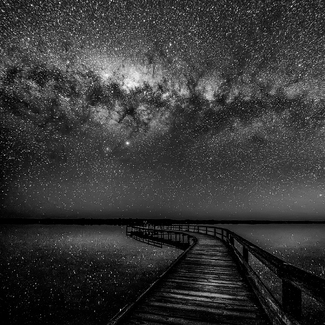 Look at you Look at you