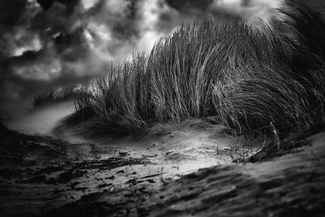 How I fell in love with the storm How I fell in love with the storm