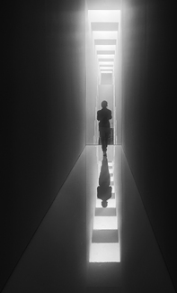When the light gets in When the light gets in