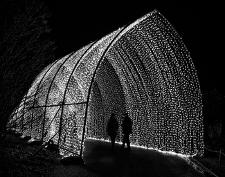 Entrance to Forest Entrance to Forest