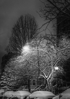 My Street Dressed in Winter My Street Dressed in Winter