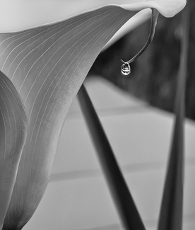 After The Rain After The Rain