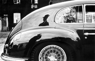 The seduction of Tango - X The seduction of Tango - X