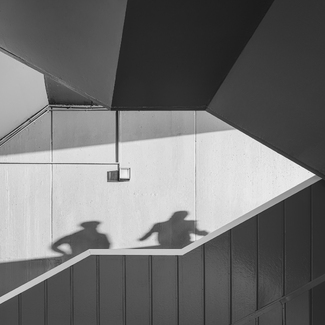 Chasing shadows Chasing shadows