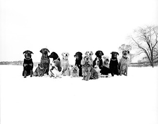 A Class Photo A Class Photo