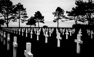 The Yin Yang The Yin Yang