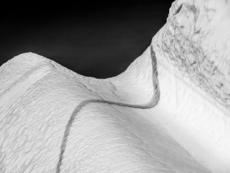 A Line in the Snow A Line in the Snow