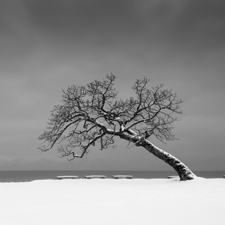 Leaning In Leaning In