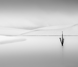 In Those Quiet Moments In Those Quiet Moments