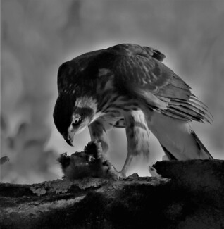 I Got You, My Pretty!!! I Got You, My Pretty!!!