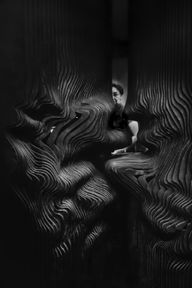 Curious Audience Curious Audience