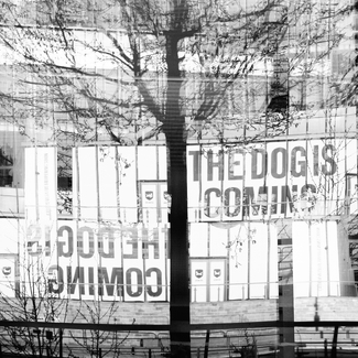 The Dog is Coming The Dog is Coming