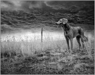 Storm Coming Storm Coming